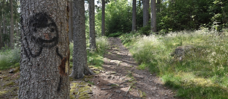 bei Lenzkirch